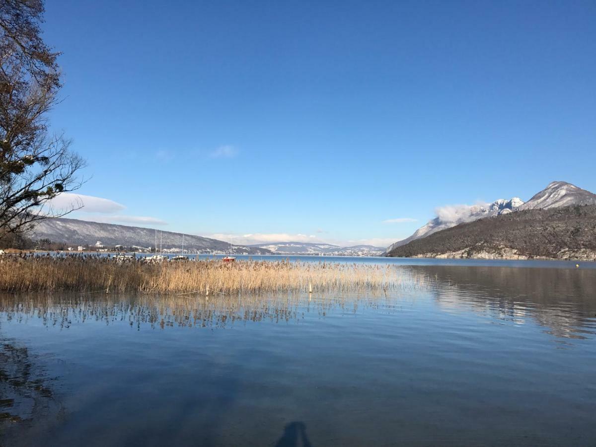 דיון Lac Et Montagne מראה חיצוני תמונה